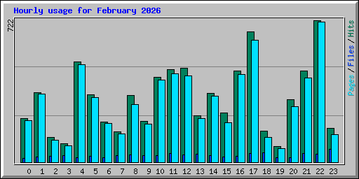 Hourly usage for February 2026